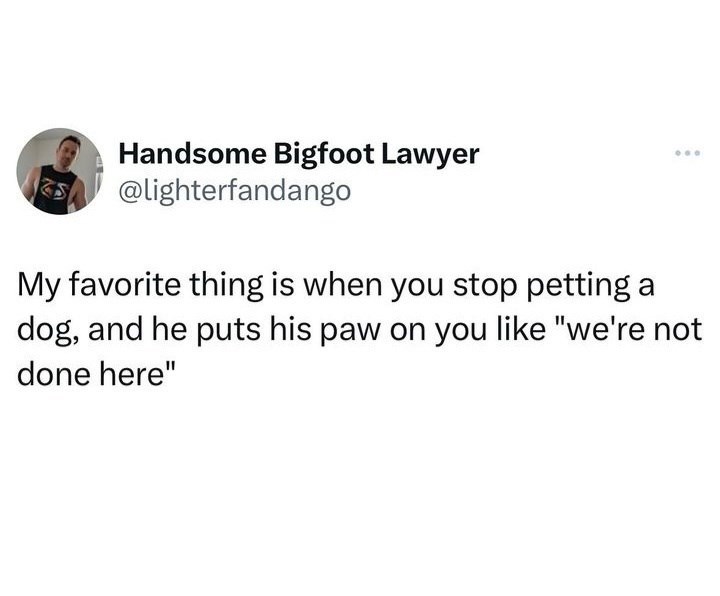 Handsome Bigfoot Lawyer @lighterfandango My favorite thing is when you stop petting a dog, and he puts his paw on you like "we're not done here"