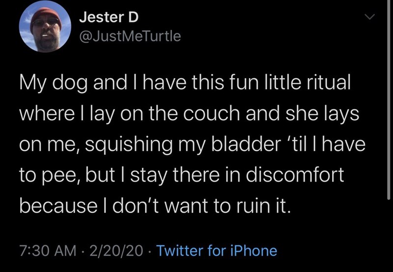 Jester D @JustMeTurtle My dog and I have this fun little ritual where I lay on the couch and she lays on me, squishing my bladder 'til I have to pee, but I stay there in discomfort because I don't want to ruin it. 7:30 AM - 2/20/20 Twitter for iPhone