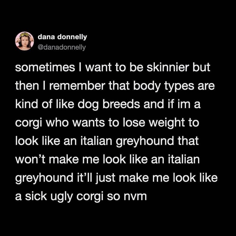 dana donnelly @danadonnelly sometimes I want to be skinnier but then I remember that body types are kind of like dog breeds and if im a corgi who wants to lose weight to look like an italian greyhound that won't make me look like an italian greyhound it'll just make me look like a sick ugly corgi so nvm