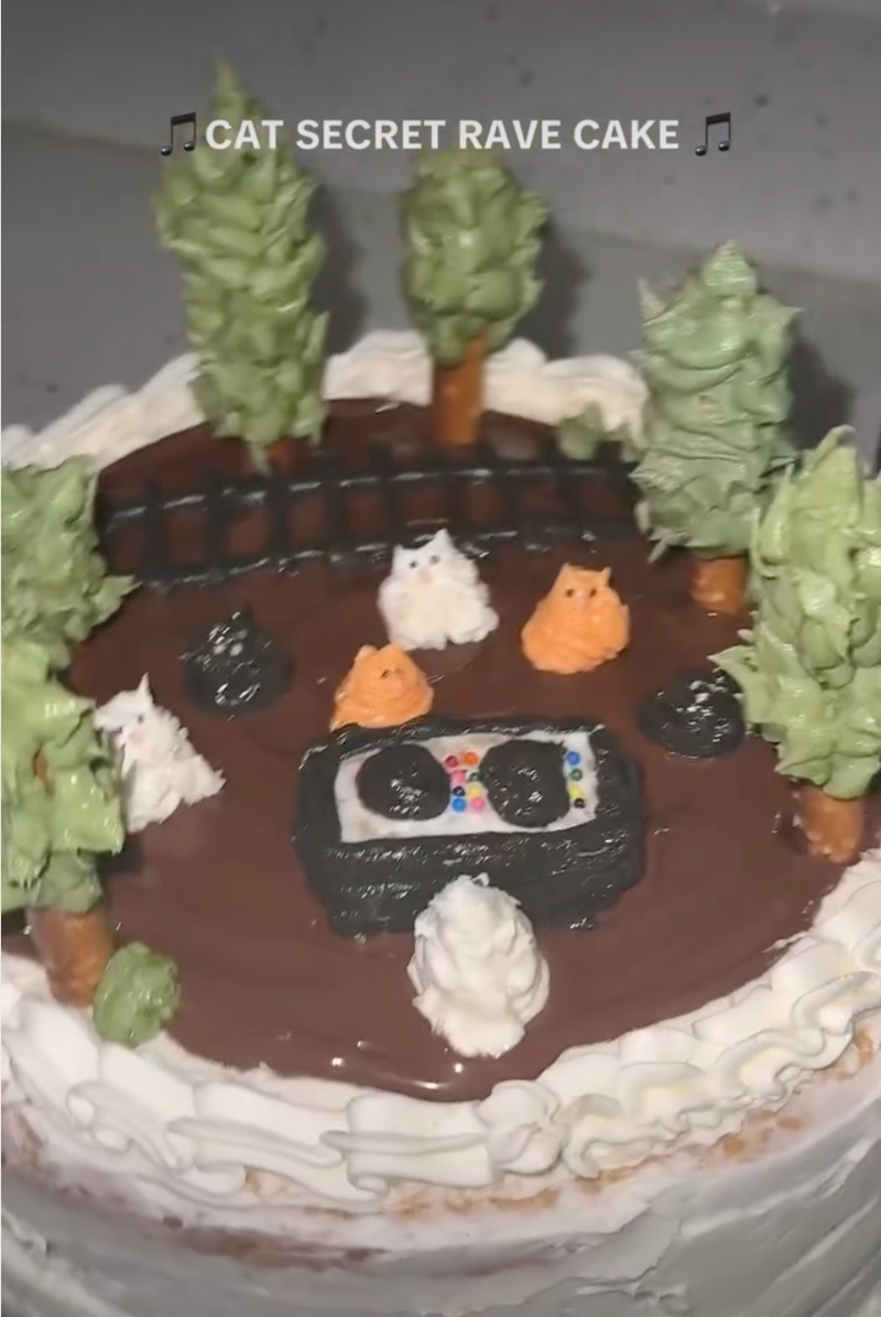 CAT SECRET RAVE CAKE