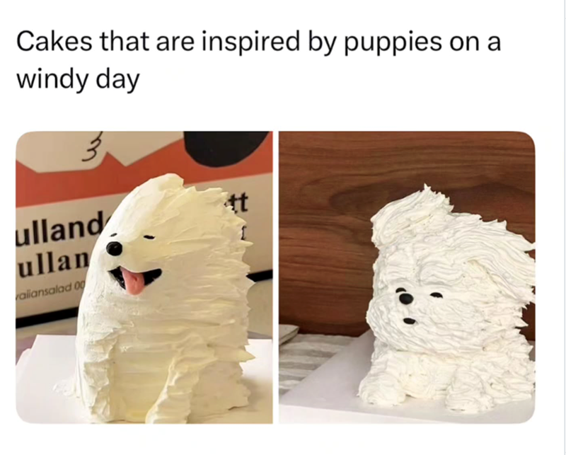 Cakes that are inspired by puppies on a windy day کو ulland ullan aliansalad 00 tt