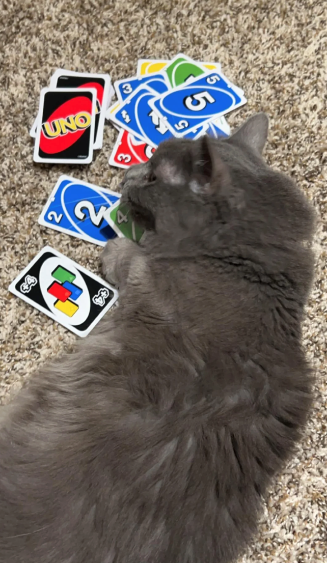 UNO 2