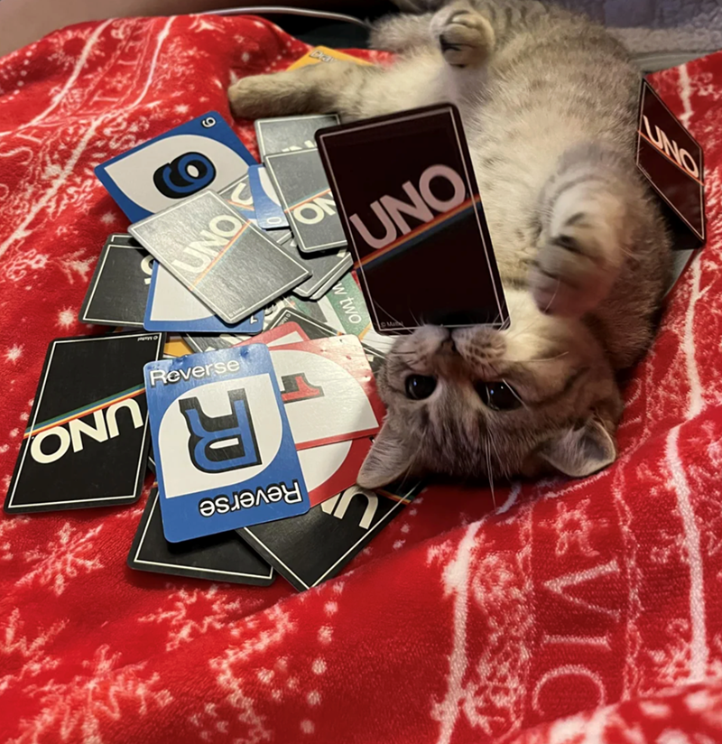 UNO Reverse ON 6 w two UNO R Reverse UNO UNO VIC