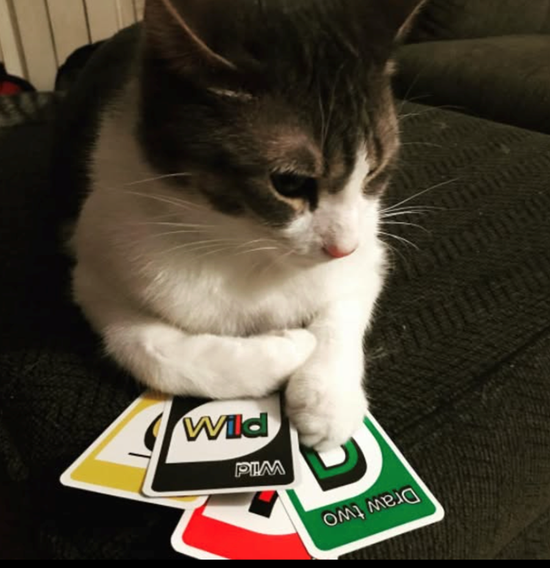 Draw two Wild РІМ