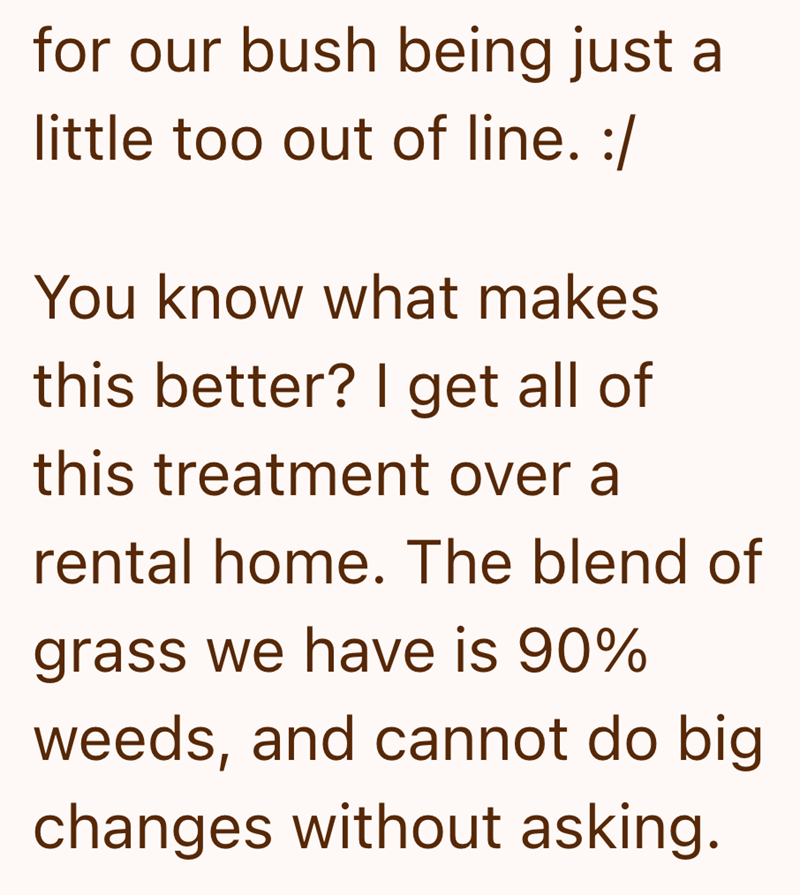 for our bush being just a little too out of line. :/ You know what makes this better? I get all of this treatment over a rental home. The blend of grass we have is 90% weeds, and cannot do big changes without asking.