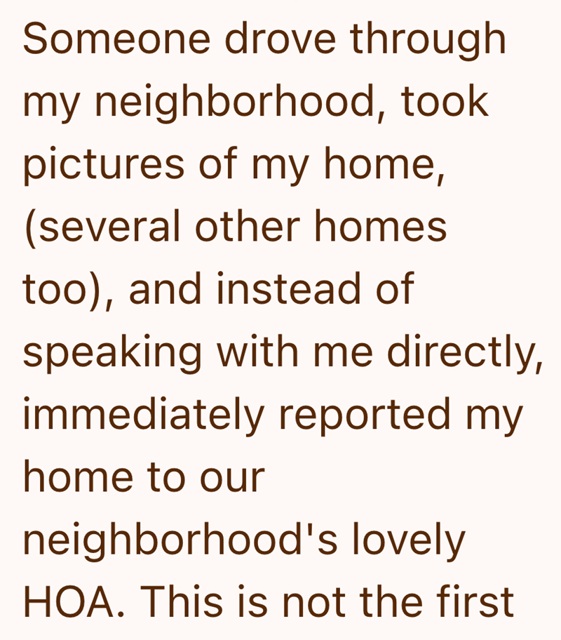 Someone drove through my neighborhood, took pictures of my home, (several other homes too), and instead of speaking with me directly, immediately reported my home to our neighborhood's lovely HOA. This is not the first