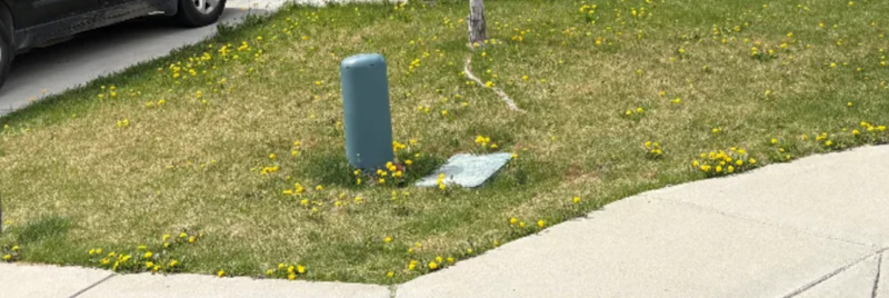 Cheezburger Image 10624672000