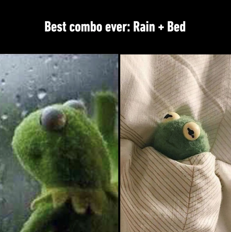 Best combo ever: Rain + Bed seoglyu