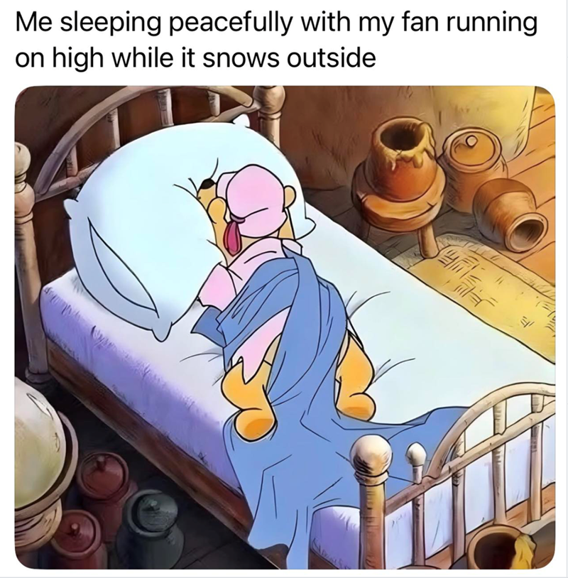 Me sleeping peacefully with my fan running on high while it snows outside