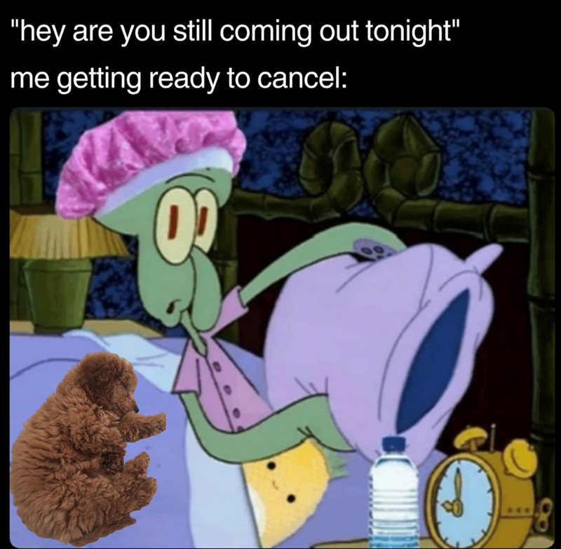 "hey are you still coming out tonight" me getting ready to cancel: 02