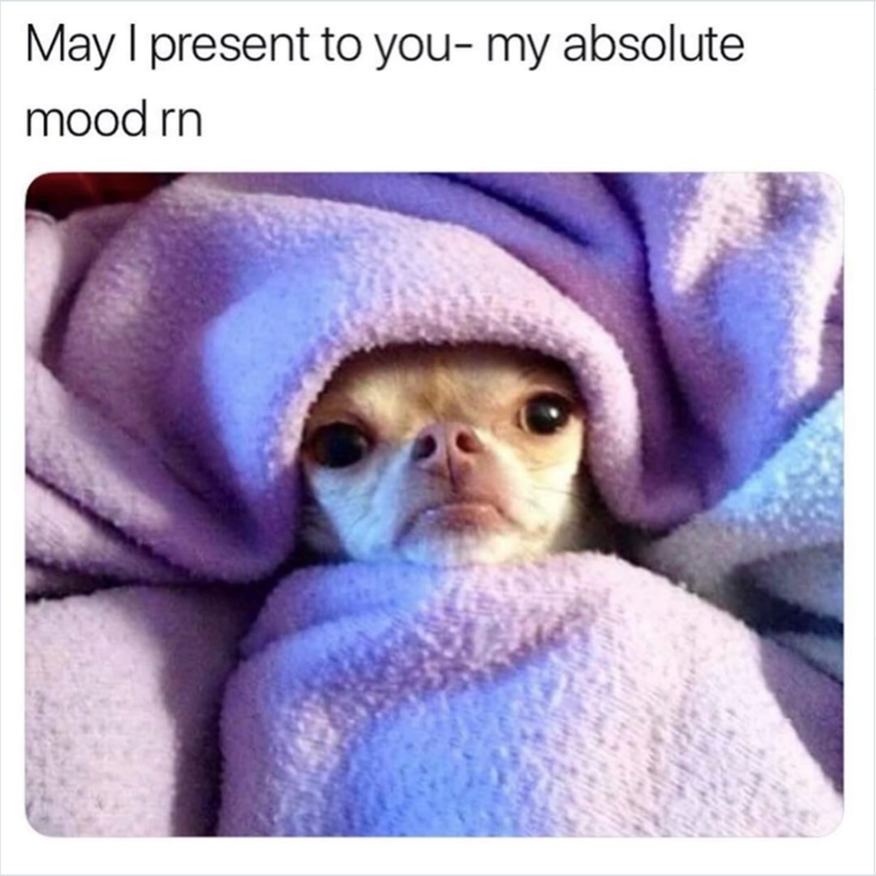 May I present to you- my absolute mood rn
