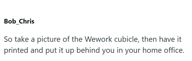 Bob_Chris So take a picture of the Wework cubicle, then have it printed and put it up behind you in your home office.