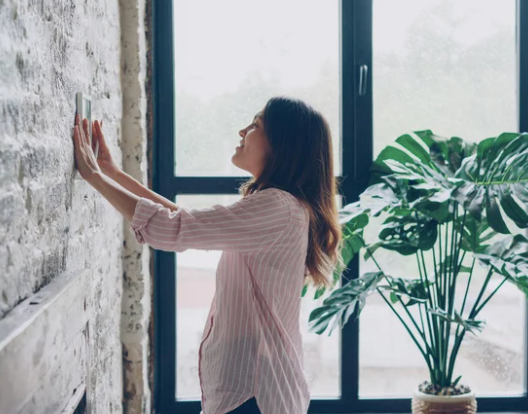 Cheezburger Image 10624754944