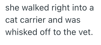 she walked right into a cat carrier and was whisked off to the vet.