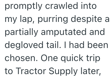promptly crawled into my lap, purring despite a partially amputated and degloved tail. I had been chosen. One quick trip to Tractor Supply later,