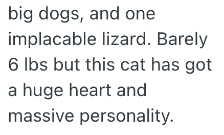 big dogs, and one implacable lizard. Barely 6 lbs but this cat has got a huge heart and massive personality.