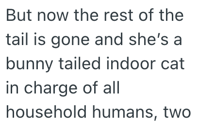 But now the rest of the tail is gone and she's a bunny tailed indoor cat in charge of all household humans, two