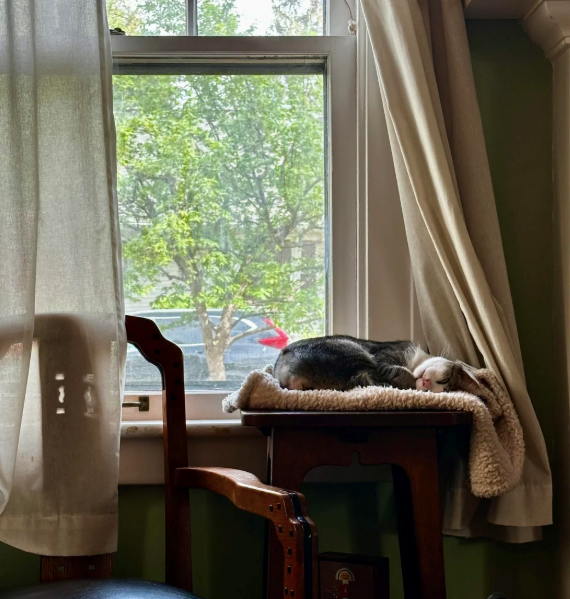 Cheezburger Image 10624771584