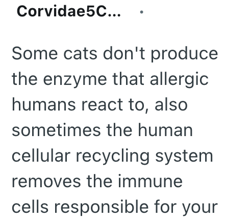 Corvidae5C... Some cats don't produce the enzyme that allergic humans react to, also sometimes the human cellular recycling system removes the immune cells responsible for your
