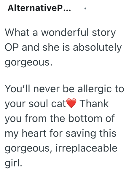 AlternativeP... What a wonderful story OP and she is absolutely gorgeous. You'll never be allergic to your soul cat Thank you from the bottom of my heart for saving this gorgeous, irreplaceable girl.