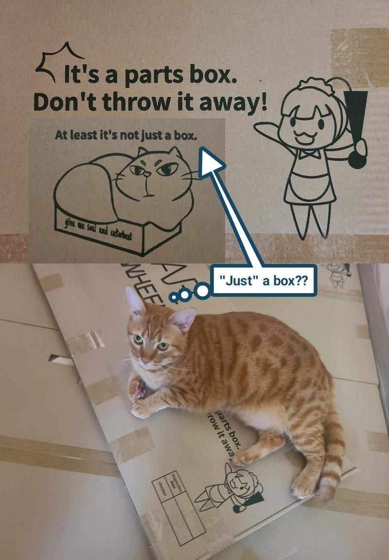 Cheezburger Image 10624777984