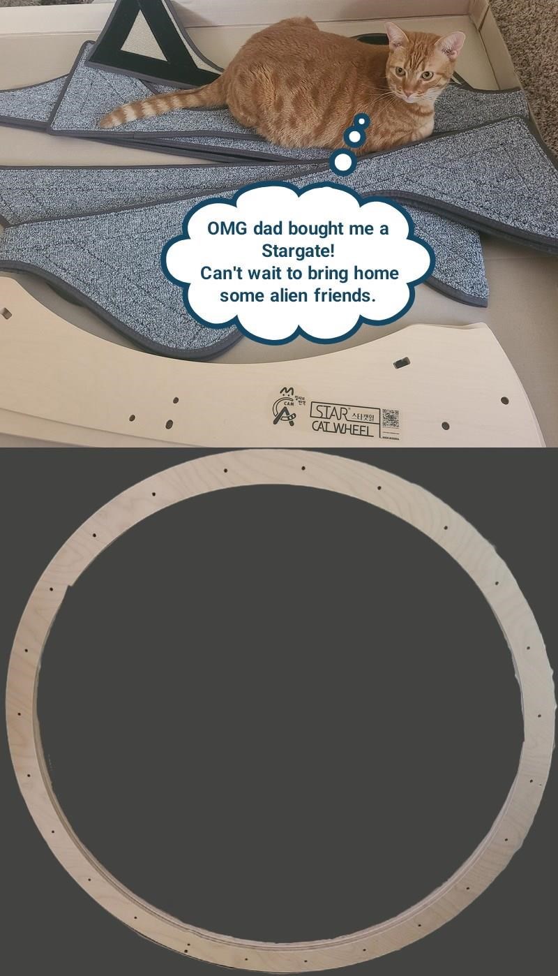 Cheezburger Image 10624779264