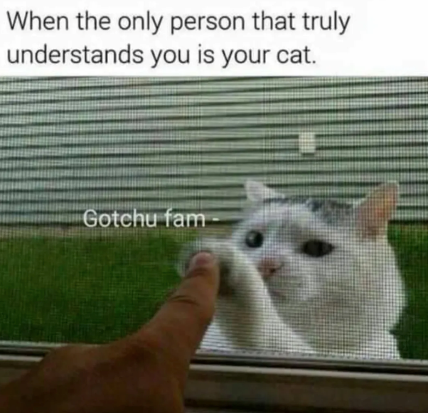 When the only person that truly understands you is your cat. Gotchu fam-