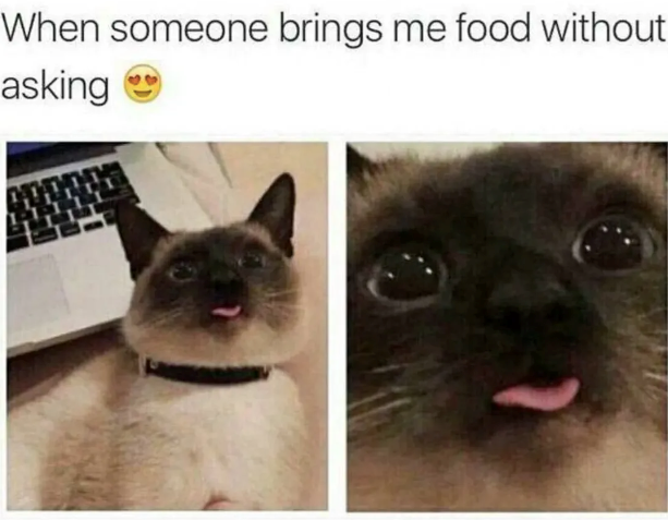When someone brings me food without asking →