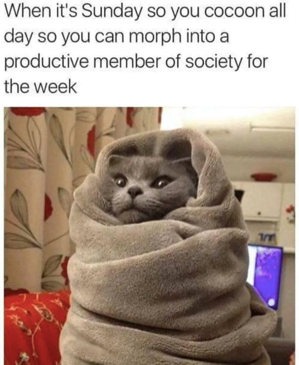 When it's Sunday so you cocoon all day so you can morph into a productive member of society for the week 1/7