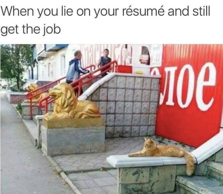 When you lie on your résumé and still get the job слое