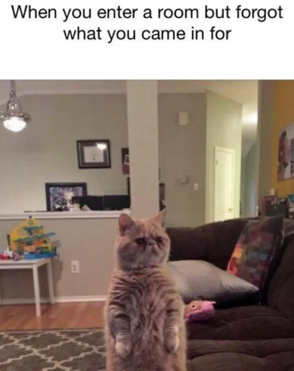 When you enter a room but forgot what you came in for E