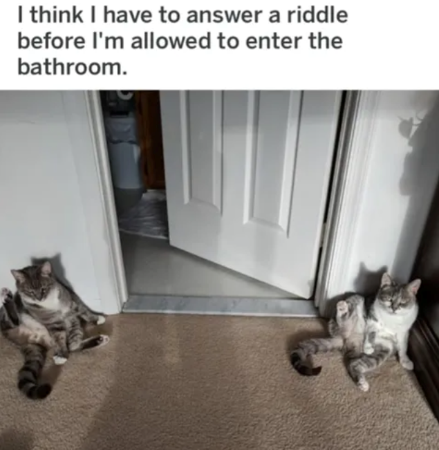 I think I have to answer a riddle before I'm allowed to enter the bathroom.