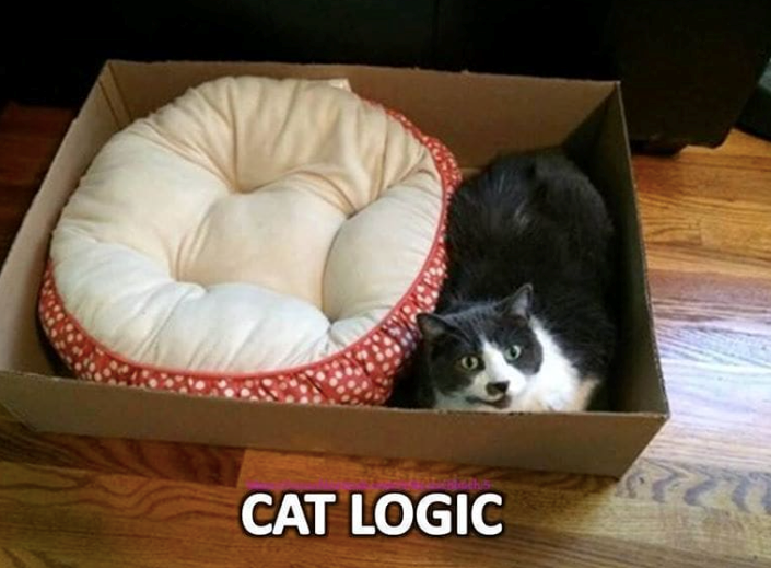 CAT LOGIC