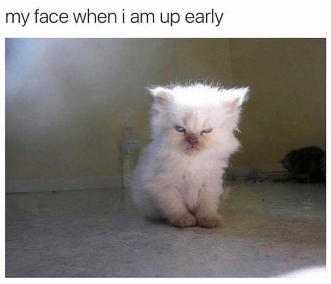 my face when i am up early