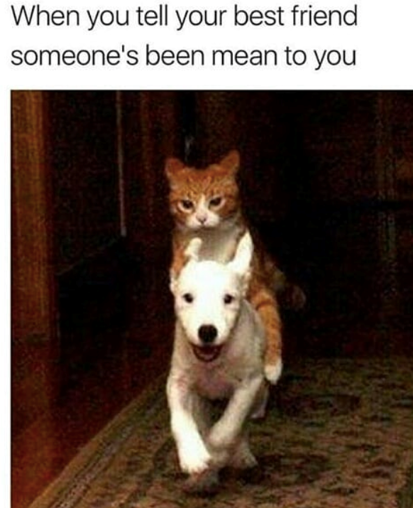 When you tell your best friend someone's been mean to you