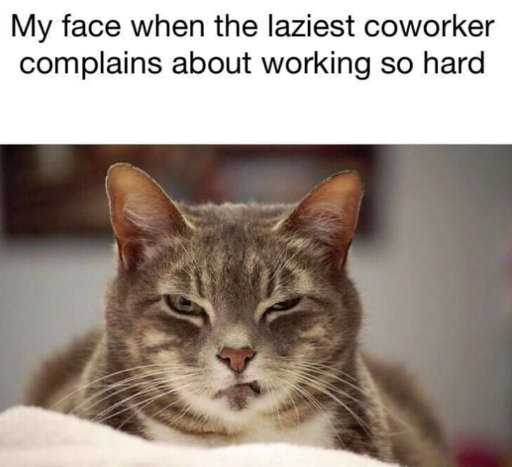 My face when the laziest coworker complains about working so hard