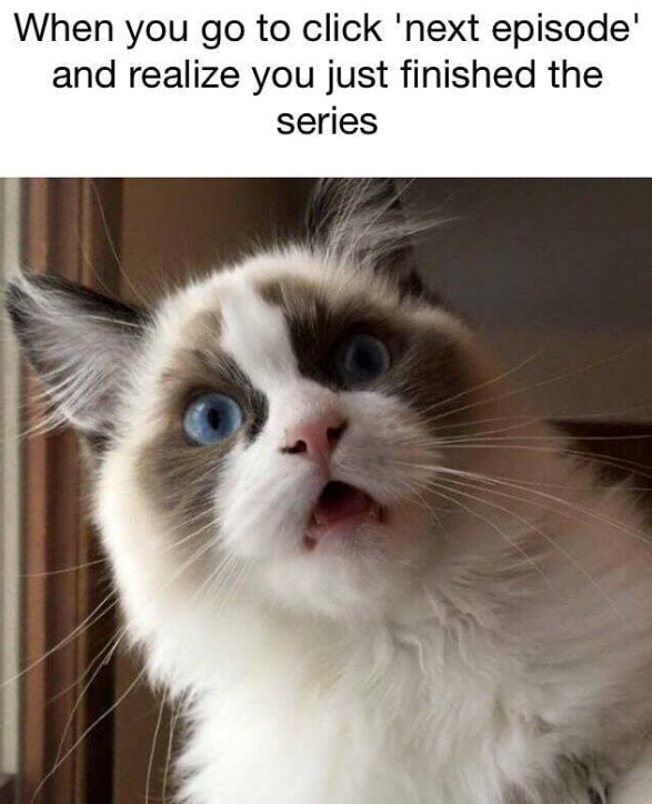 When you go to click 'next episode' and realize you just finished the series