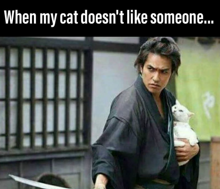 When my cat doesn't like someone...