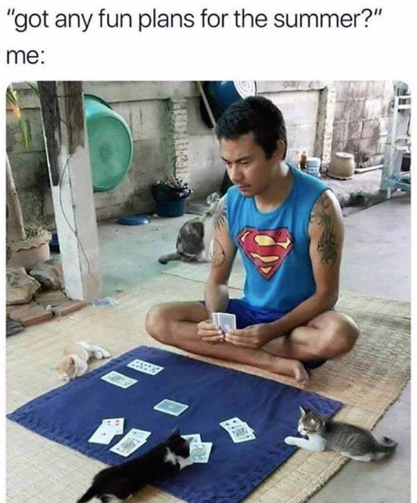 "got any fun plans for the summer?" me: