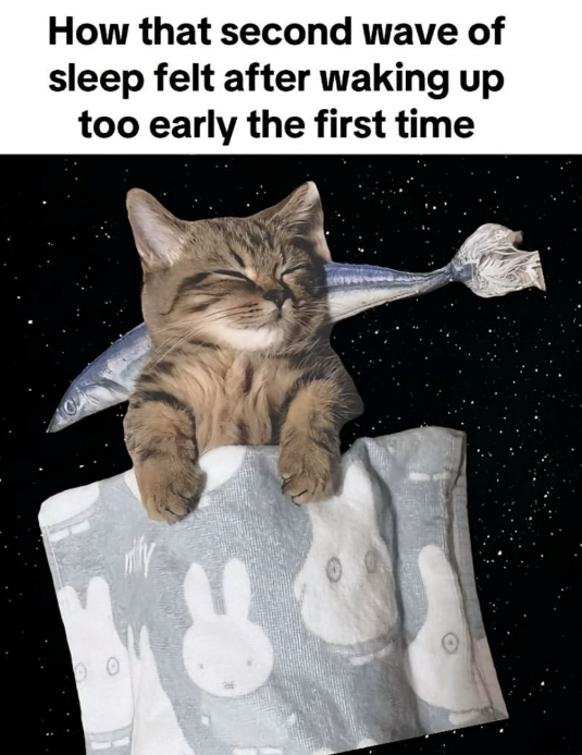 How that second wave of sleep felt after waking up too early the first time