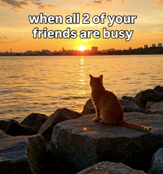 when all 2 of your friends are busy