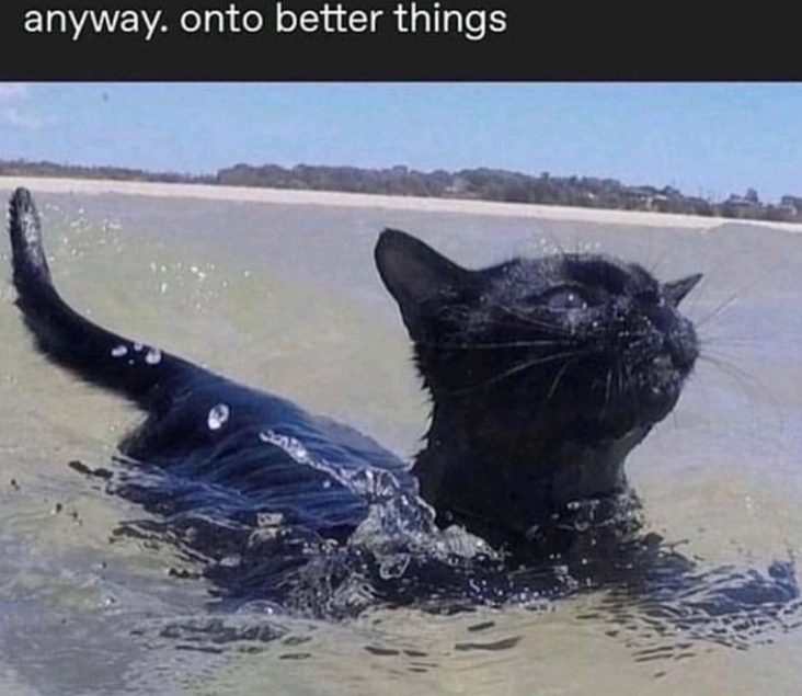 anyway. onto better things