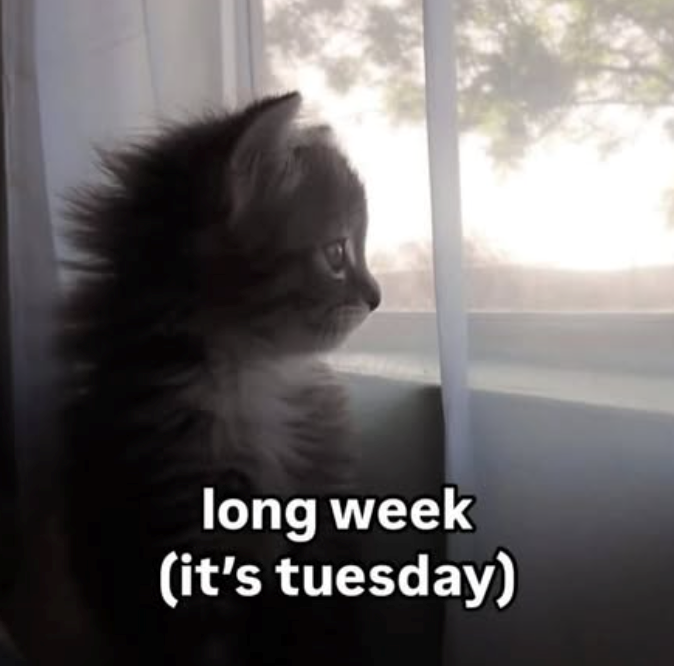 long week (it's tuesday)