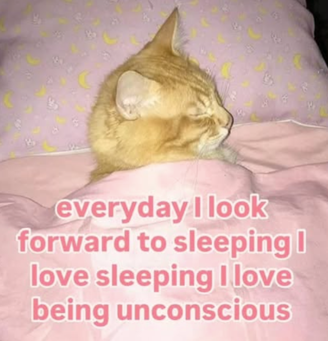 everyday I look forward to sleeping love sleeping I love being unconscious
