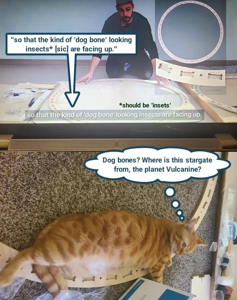 Cheezburger Image 10624797440