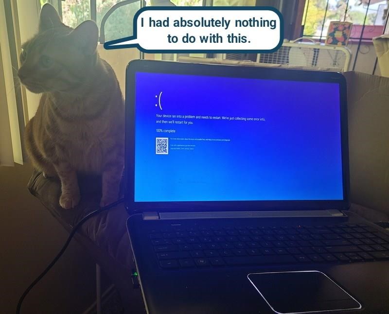 Cheezburger Image 10624798208