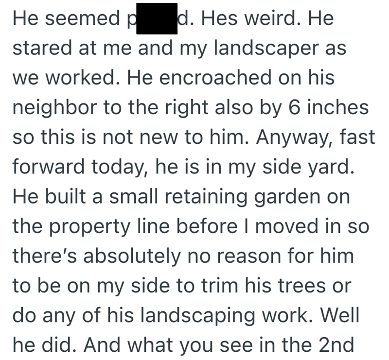 He seemed p d. Hes weird. He stared at me and my landscaper as we worked. He encroached on his neighbor to the right also by 6 inches so this is not new to him. Anyway, fast forward today, he is in my side yard. He built a small retaining garden on the property line before I moved in so there's absolutely no reason for him to be on my side to trim his trees or do any of his landscaping work. Well he did. And what you see in the 2nd
