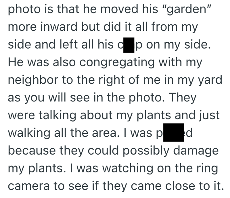 photo is that he moved his "garden" more inward but did it all from my side and left all his cap on my side. He was also congregating with my neighbor to the right of me in my yard as you will see in the photo. They were talking about my plants and just walking all the area. I was p d because they could possibly damage my plants. I was watching on the ring camera to see if they came close to it.