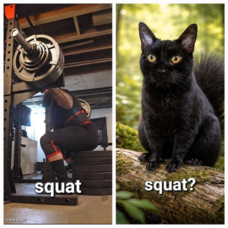 Cheezburger Image 10624801280