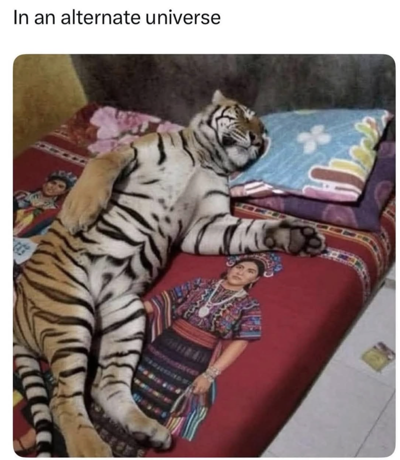 In an alternate universe